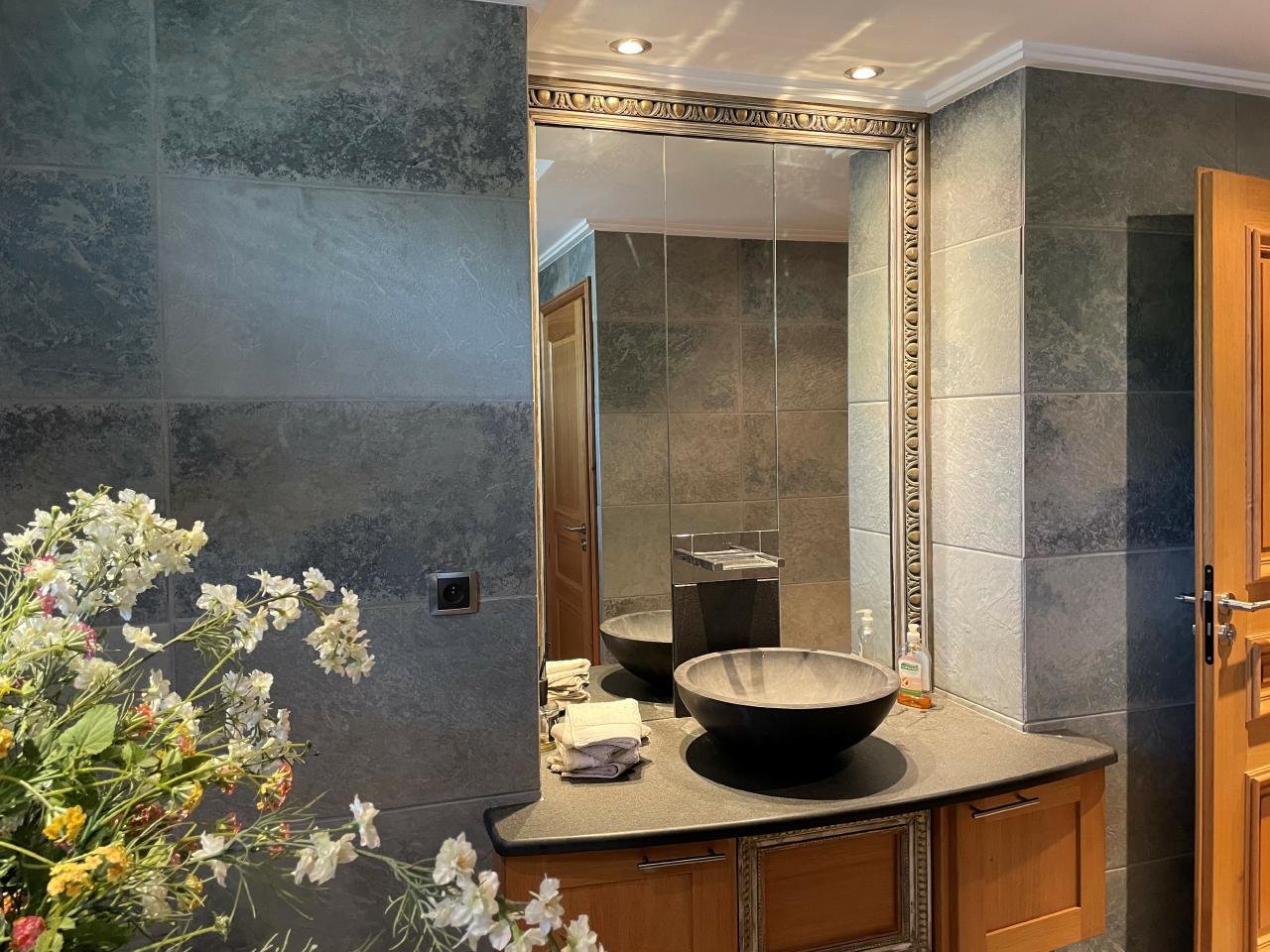 Bureau Annecy 188m² Location bureau Annecy Haute-Savoie OLBUR2423867 4